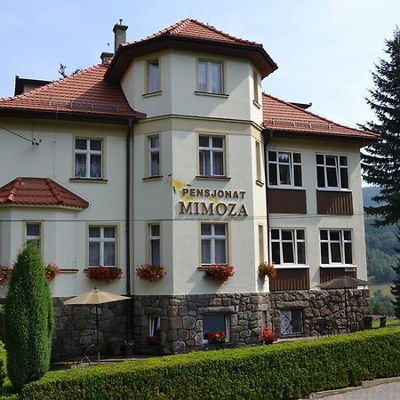 Pensjonat Mimoza Сверадув-Здруй Экстерьер фото